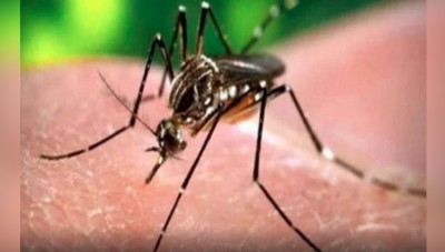 कर्नाटक के तटीय इलाकों में जीका वायरस की आशंका, बढ़ सकता है खतरा