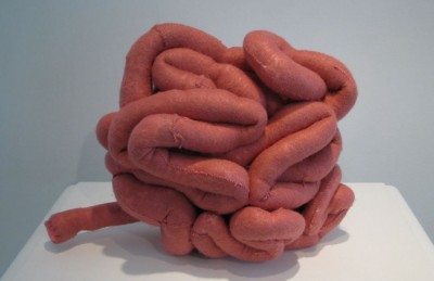 The Small Intestine: Exploring Its Length and Functions