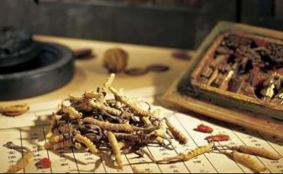 Traditional Chinese Medicine: An Ancient Practice for Restoring Balance and Health