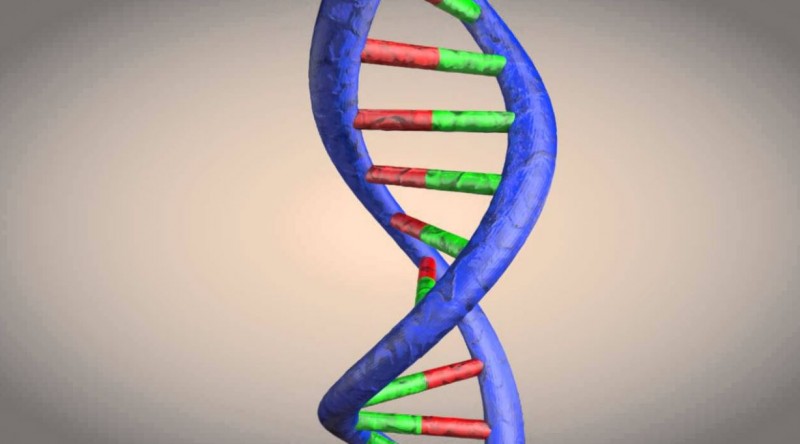 Unveiling the Double Helix: Tracing the Discovery of DNA's Structure