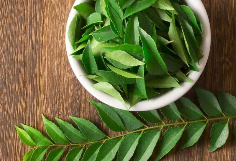 Unveiling the Exceptional Benefits of Curry Leaves: A Comprehensive Guide