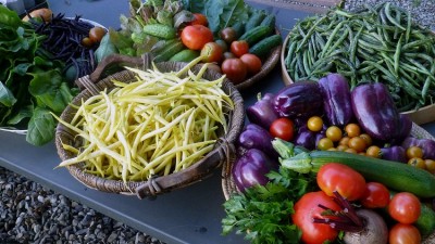 The Power of Plant-Based Diets: How to Transition to a Healthier Lifestyle