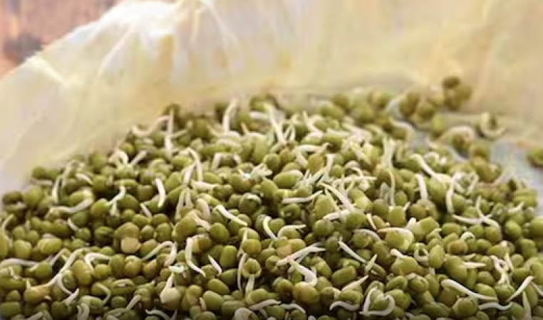 From weight loss to improving digestion, eating sprouted moong has many benefits
