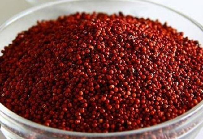 Powerful Health Benefits of Ragi: 5 Reasons to Include It in Your Diet
