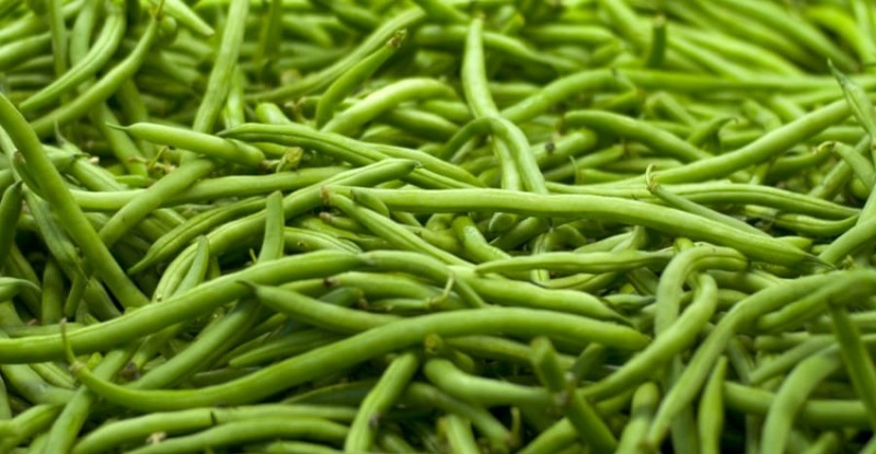 Green Bean: The Dietitian Explains How This Nutrient-Packed Vegetable Can Boost Your Health Every Day