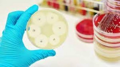 Superbugs on the Horizon: Tackling Antibiotic Resistance Worldwide