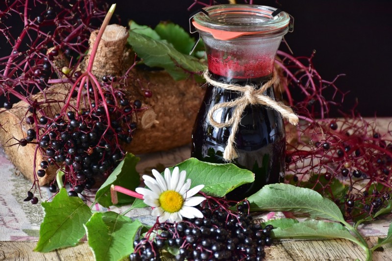 Elderberry Syrup and Immune Support: The Potency of Nature's Cold Fighter