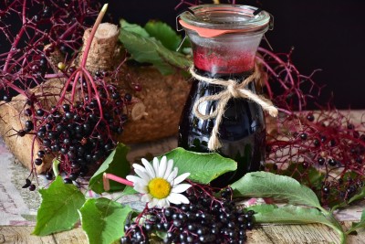 Elderberry Syrup and Immune Support: The Potency of Nature's Cold Fighter