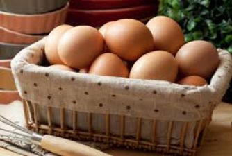 Add Eggs in your daily diet to stay fit and healthy