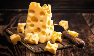 Cheese Galore: Celebrating National Cheese Lovers Day