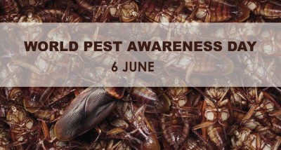 World Pest Day 2024: The Importance of Pest Control for Your Well-being