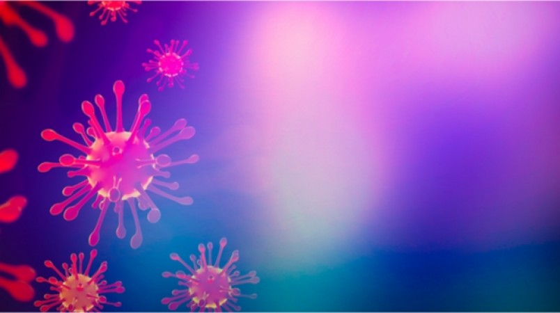 हमारे फेफड़ों से कैसे गुजरते हैं कोरोनोवायरस एरोसोल: अध्ययन