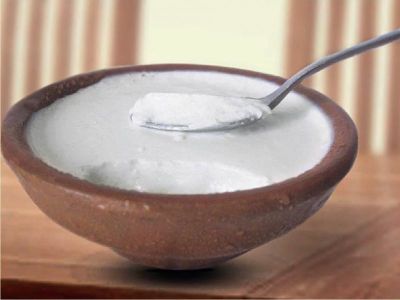 Curd prevents kidney from infection