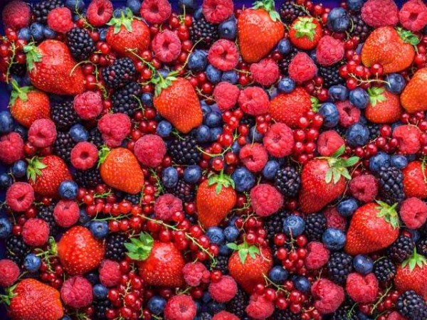 Not only berries but its leaves are also beneficial, you will get these benefits for health