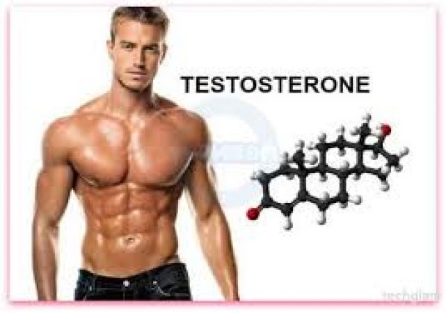 A man's testosterone profile relates to his childhood more than the adulthood