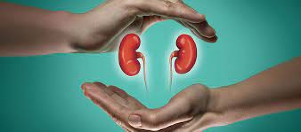 You will live a healthy and happy life even with a single kidney, just follow 6 tips