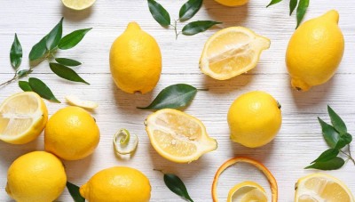 Do You Know the Healing Powers of Lemon Roots: An Ancient Remedy for Anemia