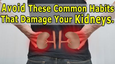 Some Common Habits That Can Damage Our Kidneys