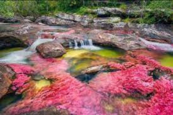 5 colored water flows in this river of the world