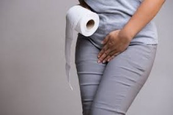 What is the capacity of human urinary bladder?