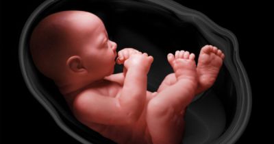 Air pollution posses negative impact the cardiovascular system of unborn baby