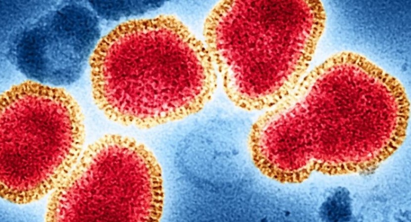 H3N2 influenza? Tamil Nadu man with Covid symptom dies