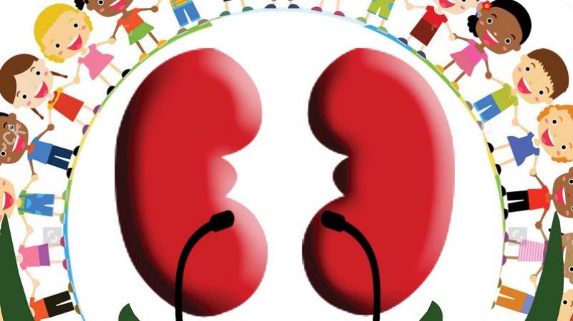 Names of Some Kidney Diseases in Children Which All Should Be Aware Of