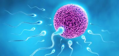Household pollutants can increase infertility risk in men