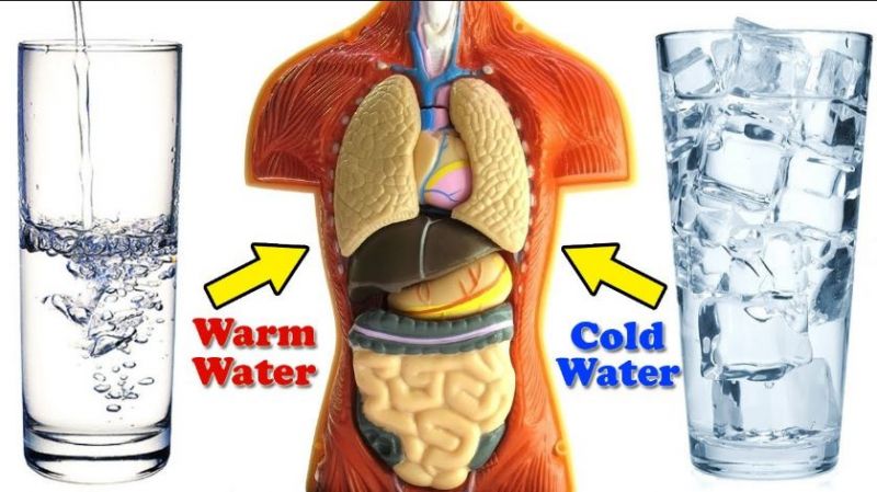 Know Cold Water vs. Hot Water which is best for weight loss