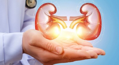 Kidney Care: Steering Clear of 10 Foods Harmful to Your Health