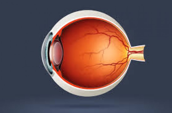 What is retinal detachment disease? If eye surgery is not done on time, does the retina start slipping?
