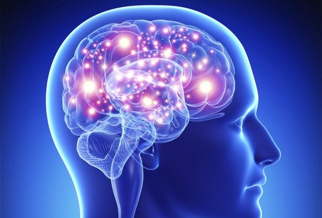 एनाबॉलिक-एंड्रोजेनिक स्टेरॉयड मस्तिष्क पर डाल सकते हैं हानिकारक प्रभाव: अध्ययन