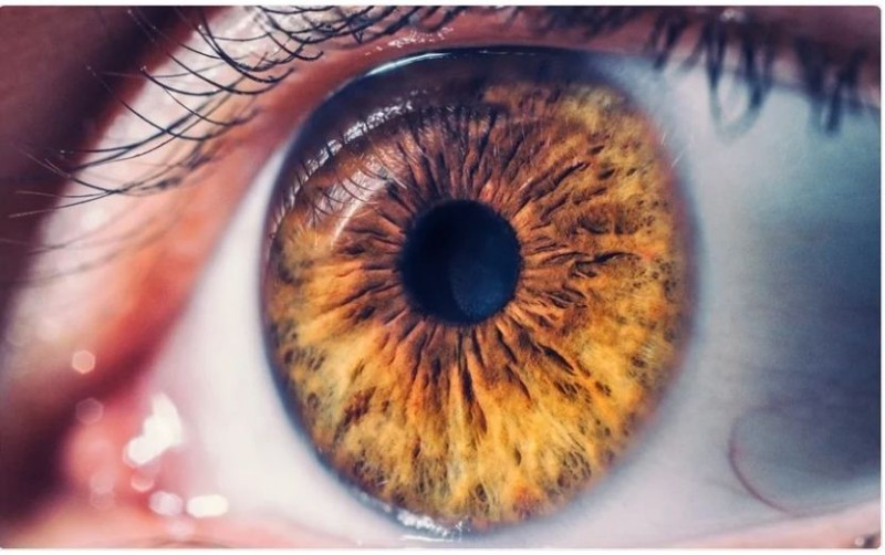 Research reveals, Covid not only infects human retina, but can also replicate in it