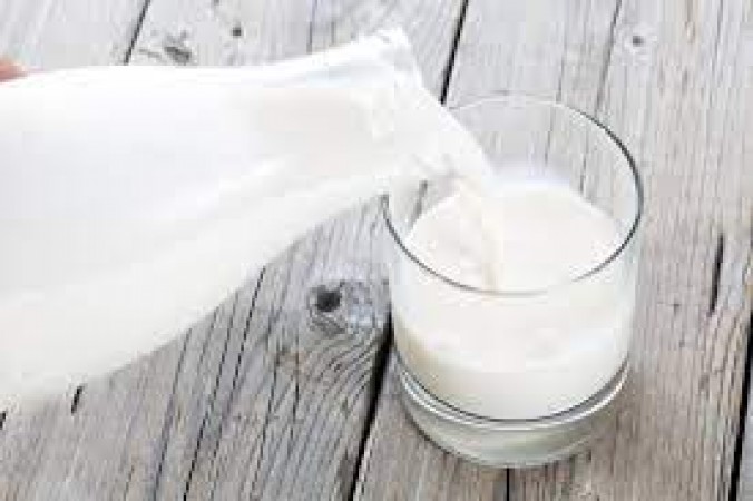 The benefits of cow's milk will surprise you, it is effective in curing major diseases