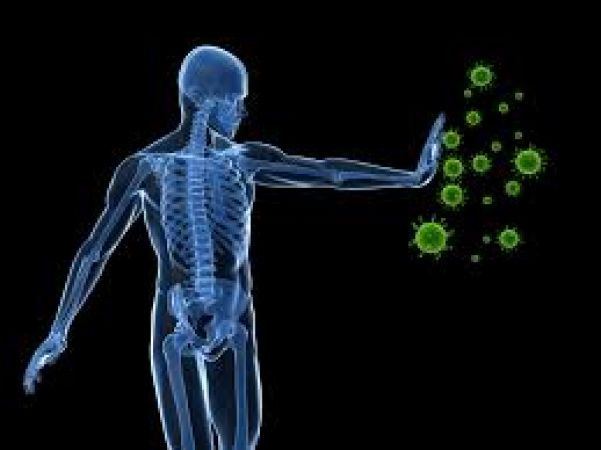 List Of Things That Can Weaken Your Immune System