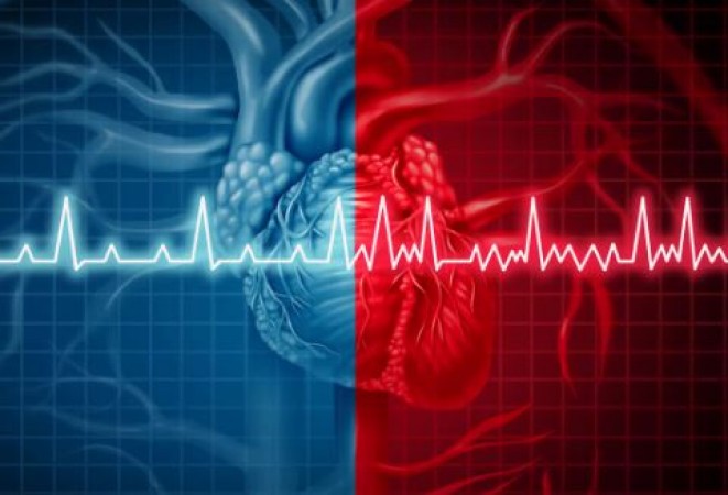 Now AI will not only listen to the heartbeat, but will also tell the condition of the heart