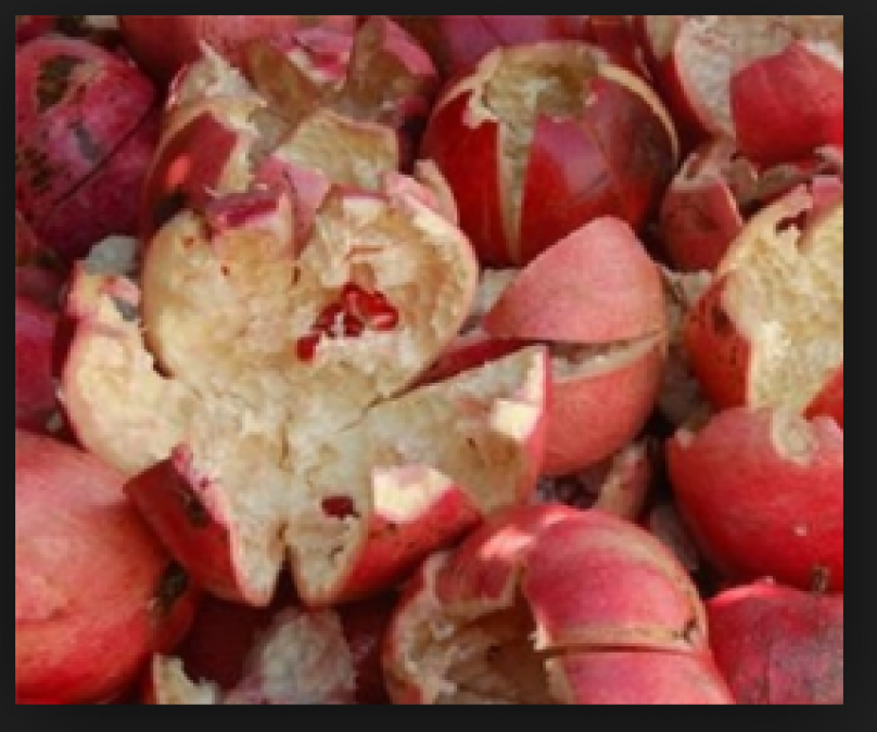 Pomegranate Peels loaded with various health and beauty benefits; know here