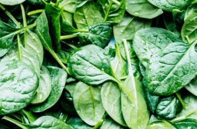 Get rid of protein deficiency naturally with these leaves, these leaves contain a wealth of vitamins