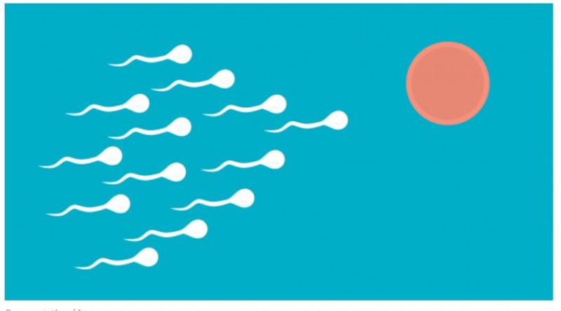 Study suggests novel technique to measure sperm age may predict pregnancy success