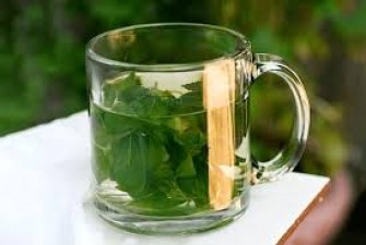 What are the benefits of chewing basil leaves every morning?