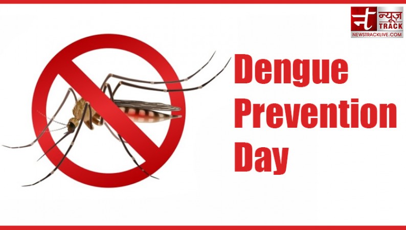 Dengue Prevention Day 2023: How to Protect yourself from Dengue