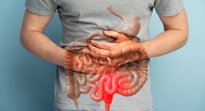 World Digestive Health Day 2024: Know The Hidden Powers of a Healthy Gut