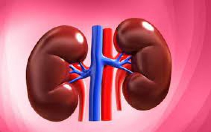 Be careful when body gives such signals in the morning! Kidneys may get damaged