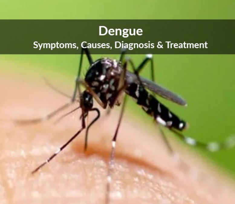 This home remedy is effective in the treatment of Dengue