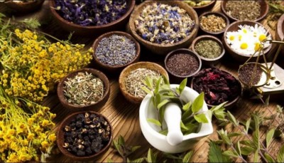 Natural medicine for treating diabetes and the metabolic syndrome