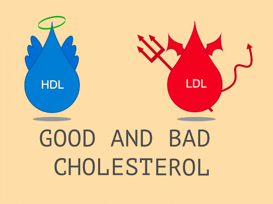 Follow these steps to control cholesterol naturally | NewsTrack English 1