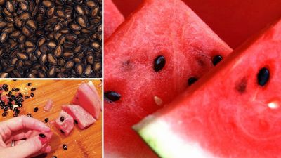 Know the health benefits of watermelon seeds!