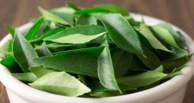 CURRY LEAVES CURE CANCER - Know How