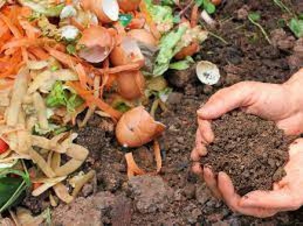 Make natural fertilizer at home from kitchen waste