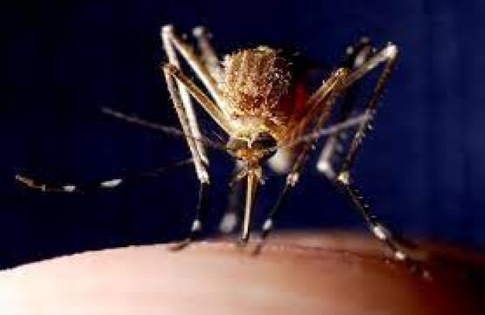 Dengue is becoming deadly in Bangladesh, know how you can protect yourself?